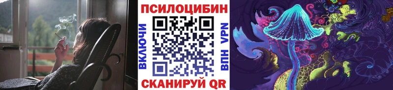 как найти закладки Энем Псилоцибиновые грибы Psilocybe