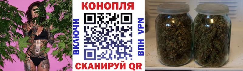 как найти Энем Марихуана White Widow